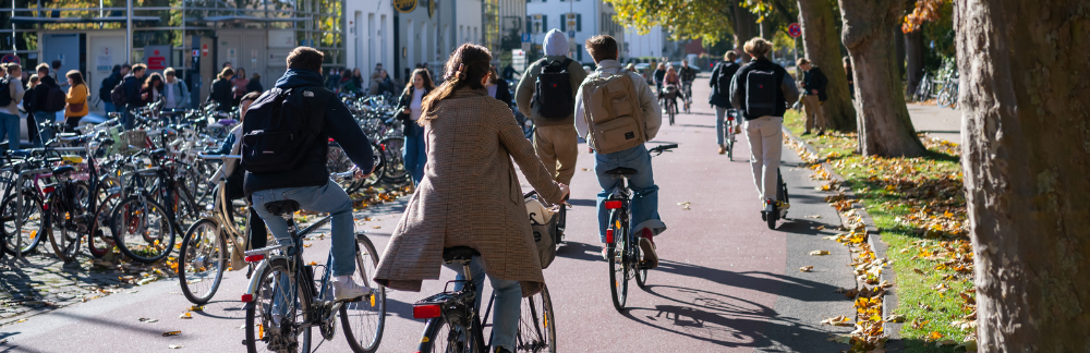 Fahradfahrer und Rollerfahrer auf einem breiten Weg. Rechts sind Bäume